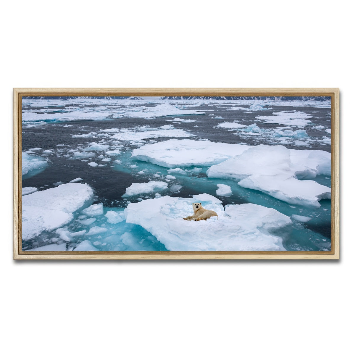 AUTO-MOCKUP WHITE | Polar Bear - Greenland | 1 Piece | Natural Framed Canvas | group=2x1