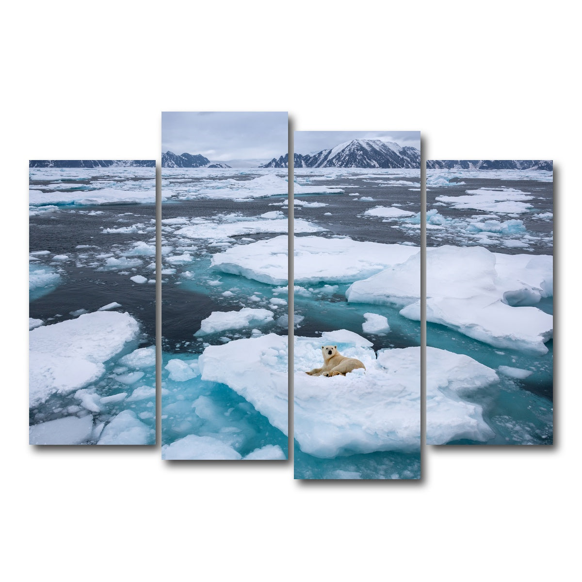 AUTO-MOCKUP WHITE | Polar Bear - Greenland | 4 Piece | Gallery Wrap Canvas | group=4_normal