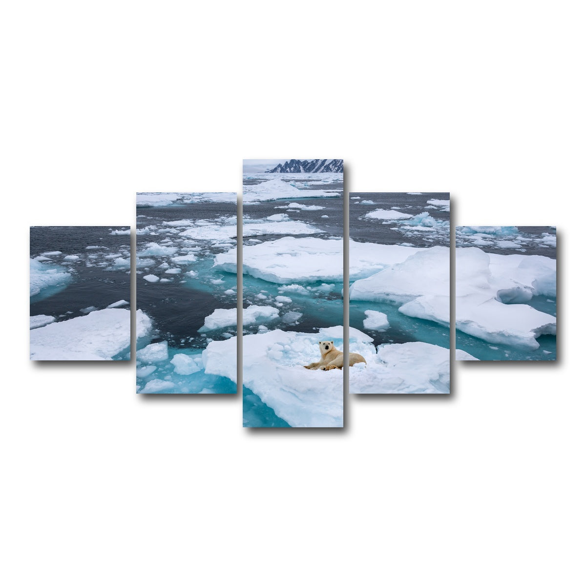 AUTO-MOCKUP WHITE | Polar Bear - Greenland | 5 Piece | Gallery Wrap Canvas | group=5_short