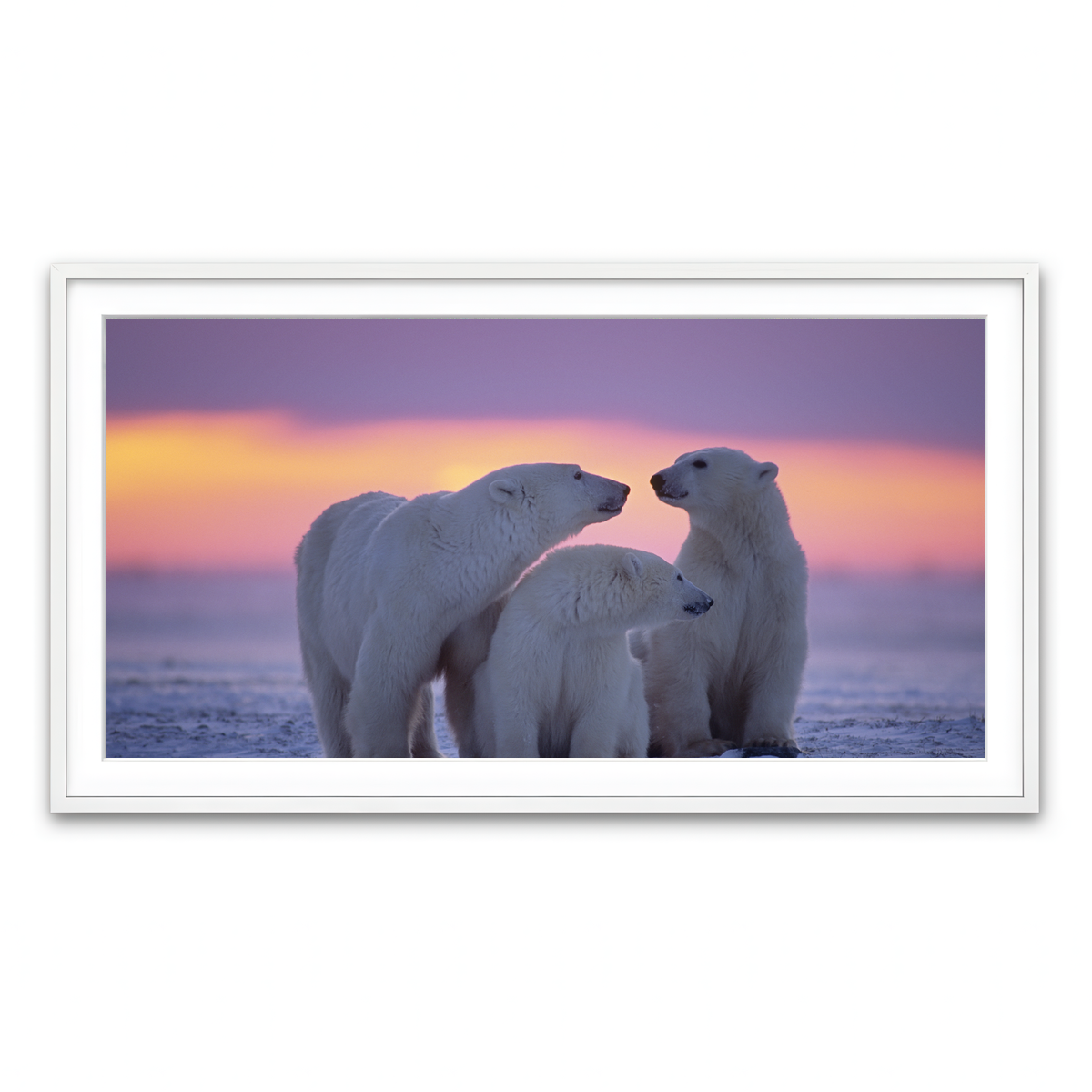 Framed Print 2x1 White