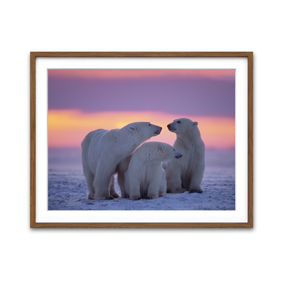 Framed Print 4x3 Walnut