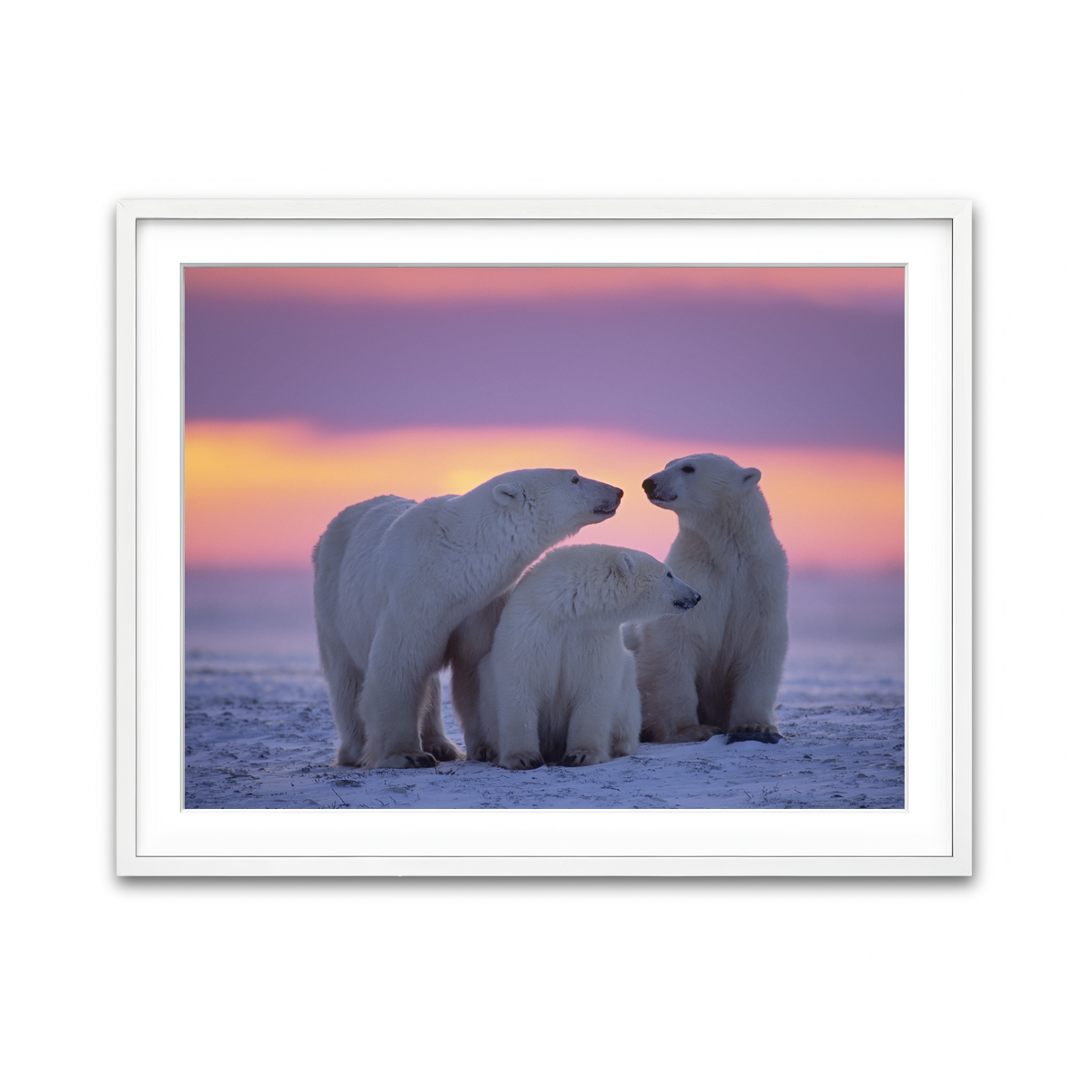 Framed Print 4x3 White
