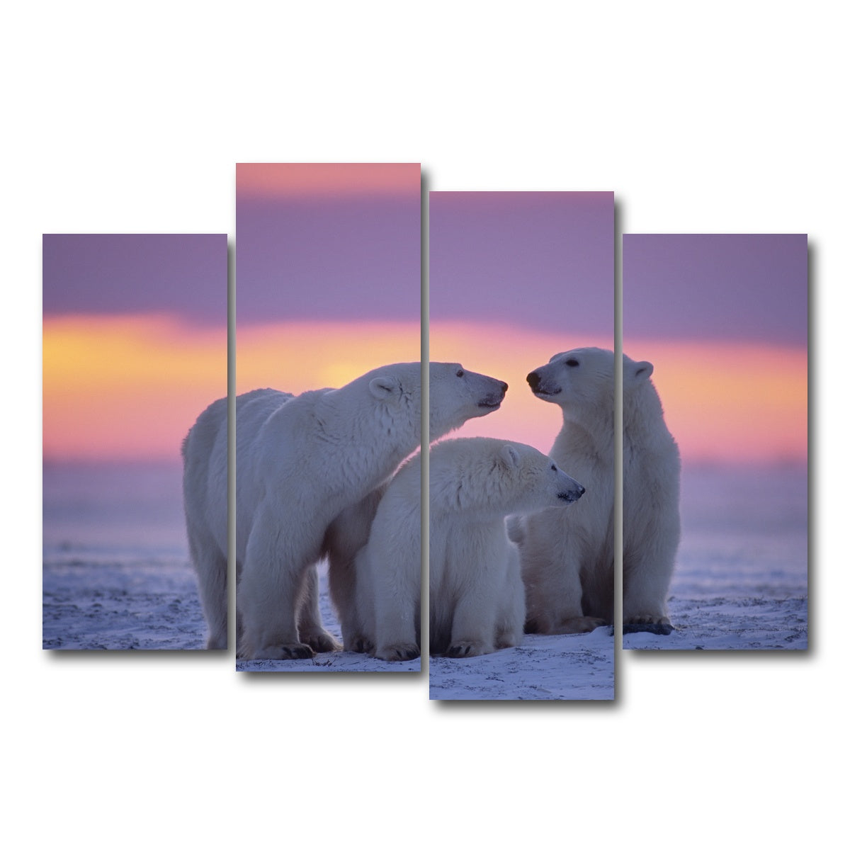 AUTO-MOCKUP WHITE | Polar Bear Family - Canadian Arctic | 4 Piece | Gallery Wrap Canvas | group=4_normal