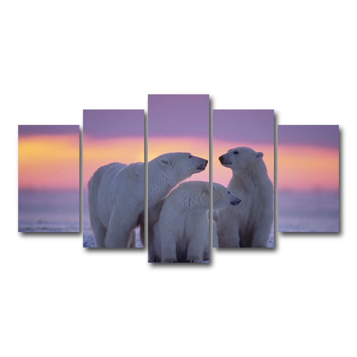 AUTO-MOCKUP WHITE | Polar Bear Family - Canadian Arctic | 5 Piece | Gallery Wrap Canvas | group=5_normal