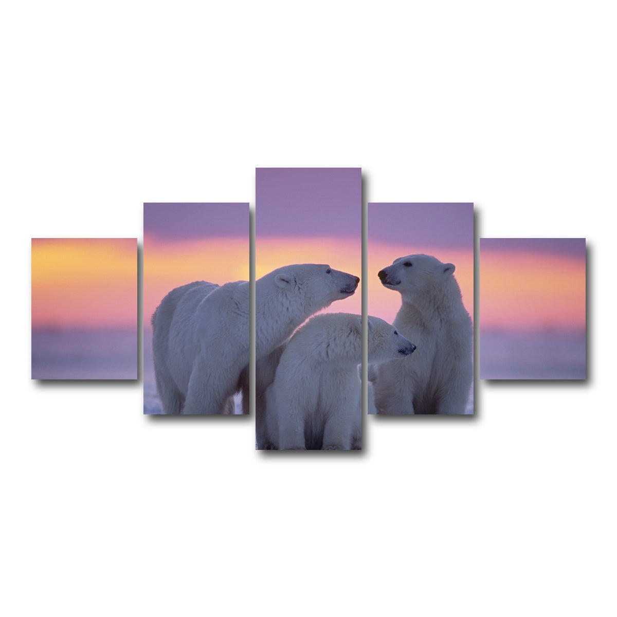 AUTO-MOCKUP WHITE | Polar Bear Family - Canadian Arctic | 5 Piece | Gallery Wrap Canvas | group=5_short