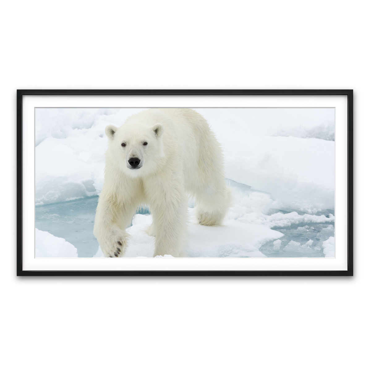 Framed Print 2x1 Black