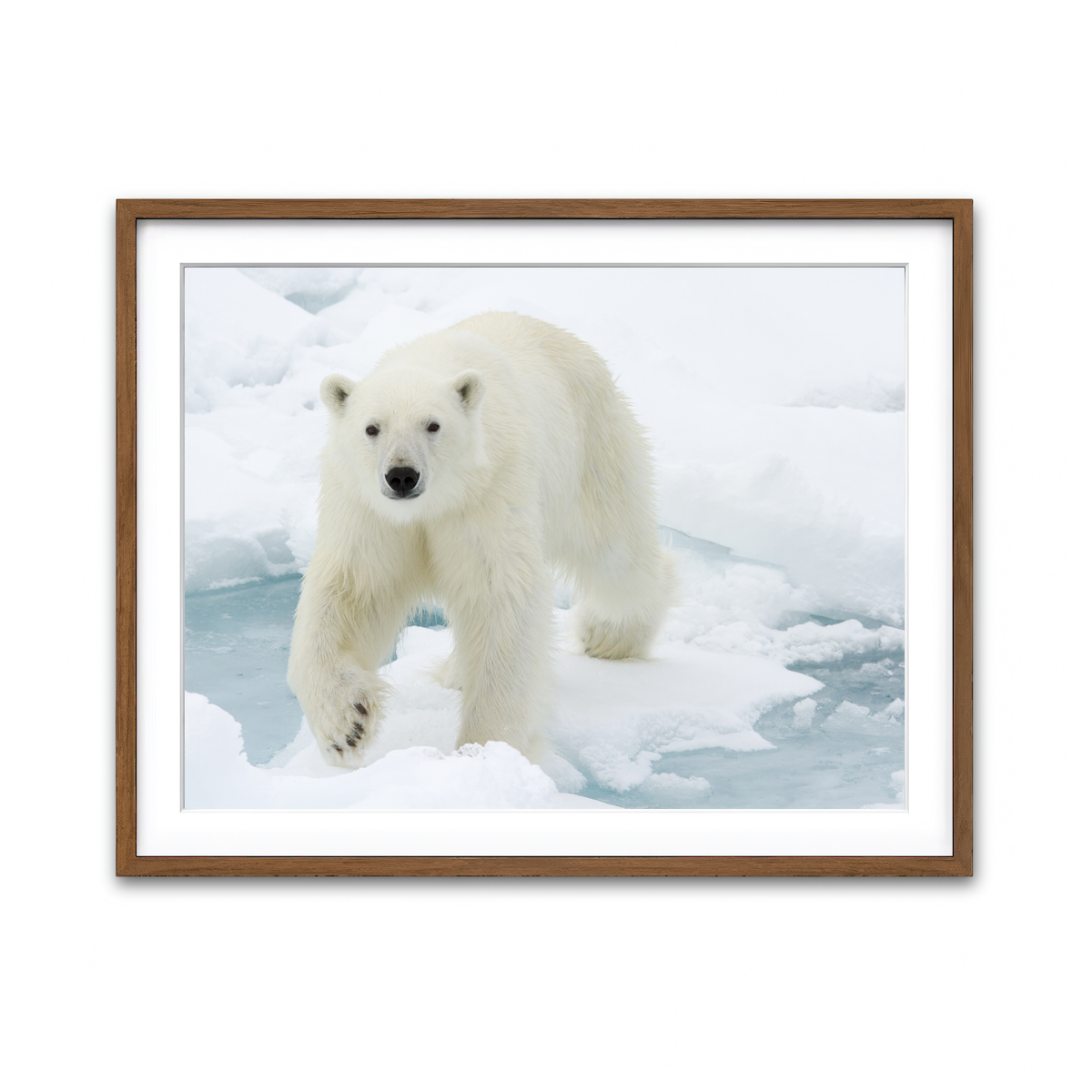 Framed Print 4x3 Walnut