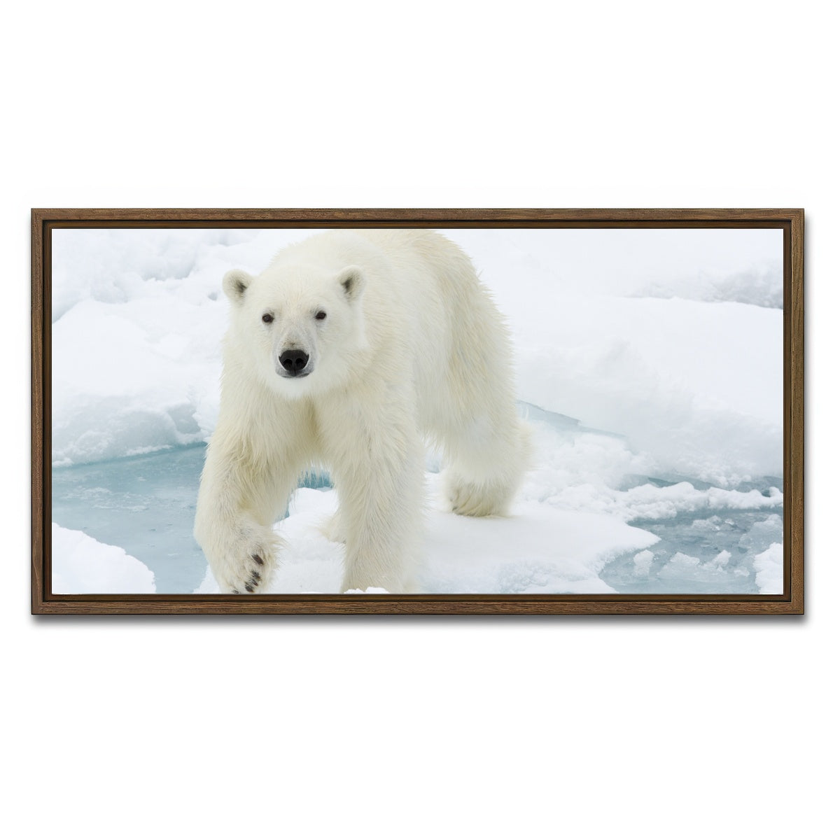 AUTO-MOCKUP WHITE | Polar Bear | 1 Piece | Walnut Framed Canvas | group=2x1