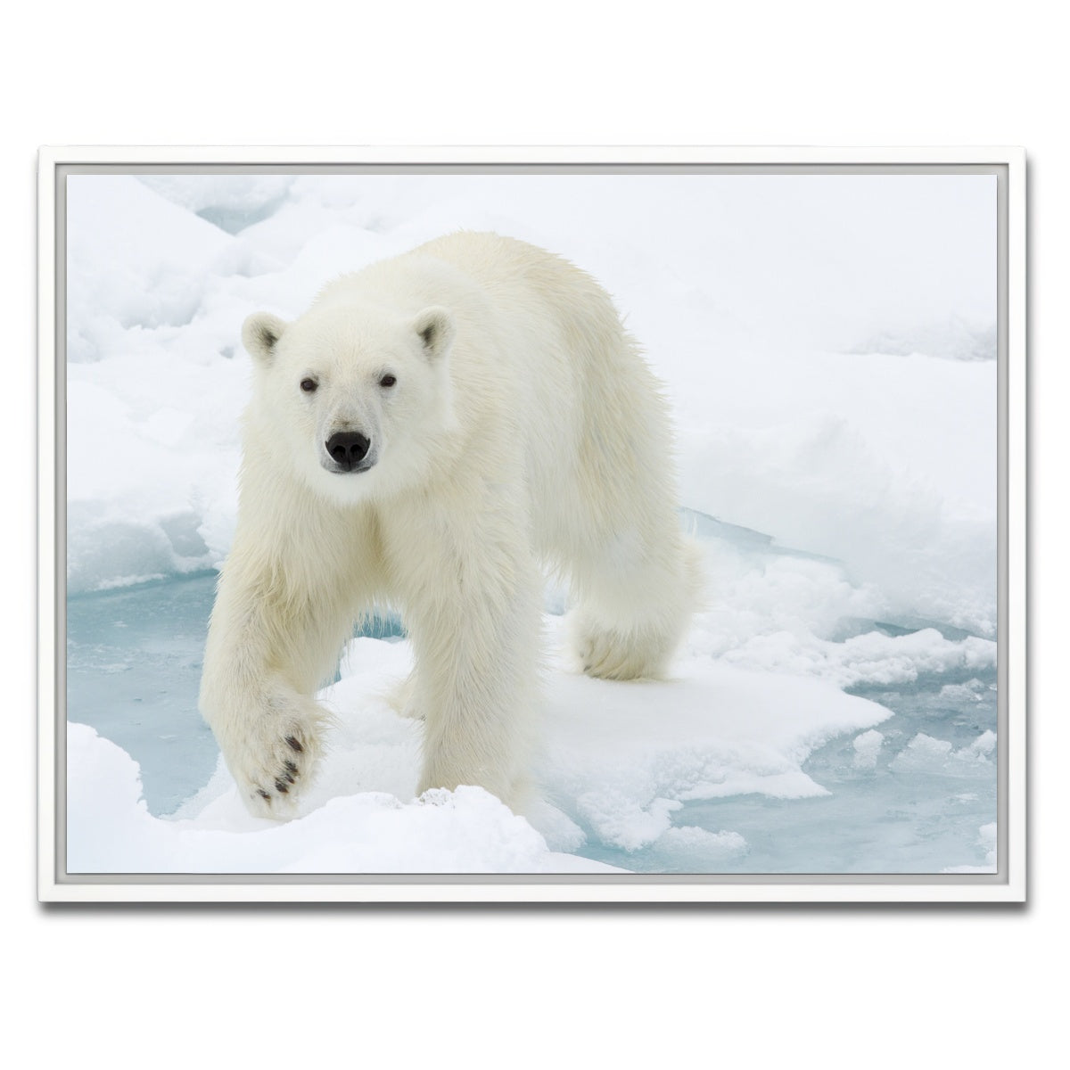 AUTO-MOCKUP WHITE | Polar Bear | 1 Piece | White Framed Canvas | group=4x3