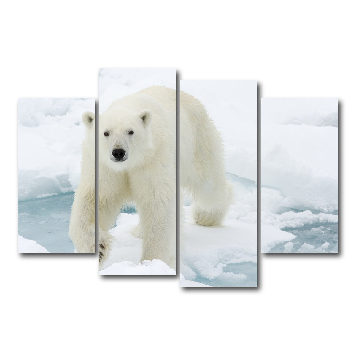 AUTO-MOCKUP WHITE | Polar Bear | 4 Piece | Gallery Wrap Canvas | group=4_short