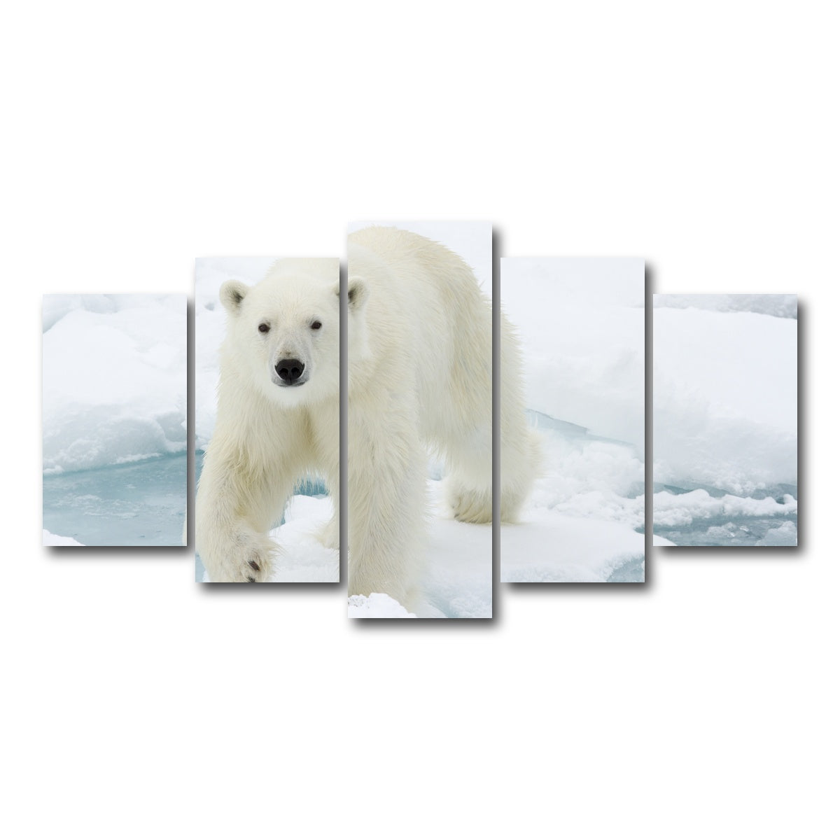 AUTO-MOCKUP WHITE | Polar Bear | 5 Piece | Gallery Wrap Canvas | group=5_normal