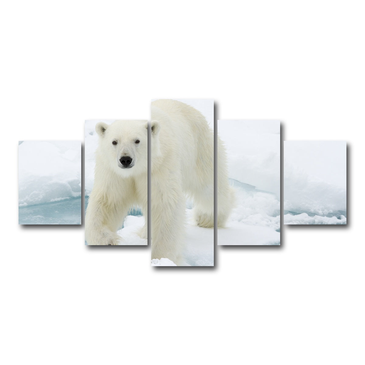 AUTO-MOCKUP WHITE | Polar Bear | 5 Piece | Gallery Wrap Canvas | group=5_short