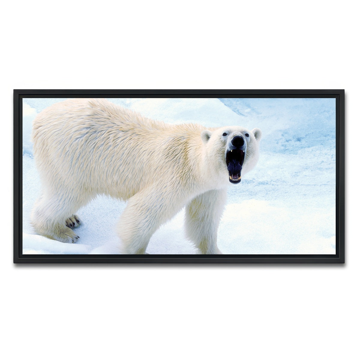 AUTO-MOCKUP WHITE | Polar Bear in Svalbard Norway | 1 Piece | Black Framed Canvas | group=2x1