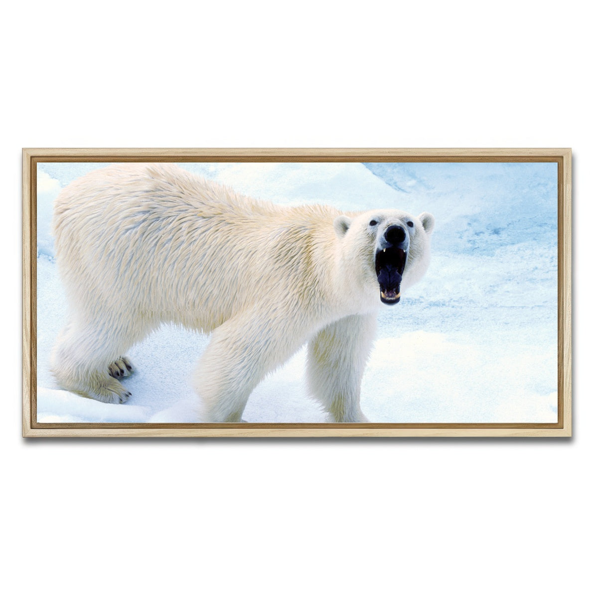 AUTO-MOCKUP WHITE | Polar Bear in Svalbard Norway | 1 Piece | Natural Framed Canvas | group=2x1