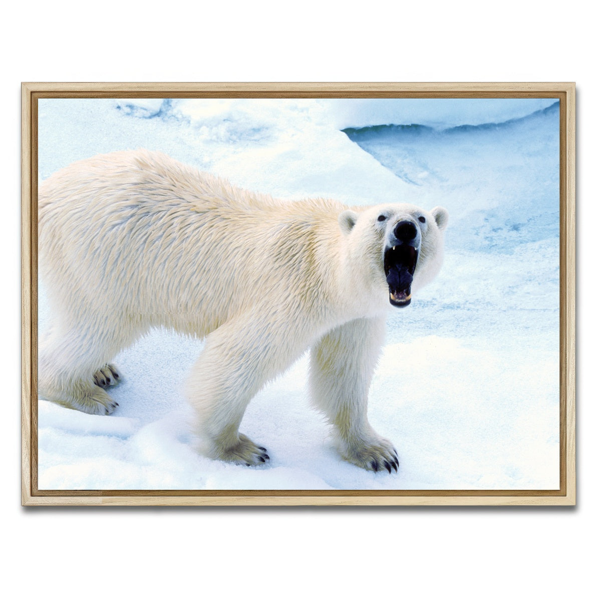 AUTO-MOCKUP WHITE | Polar Bear in Svalbard Norway | 1 Piece | Natural Framed Canvas | group=4x3