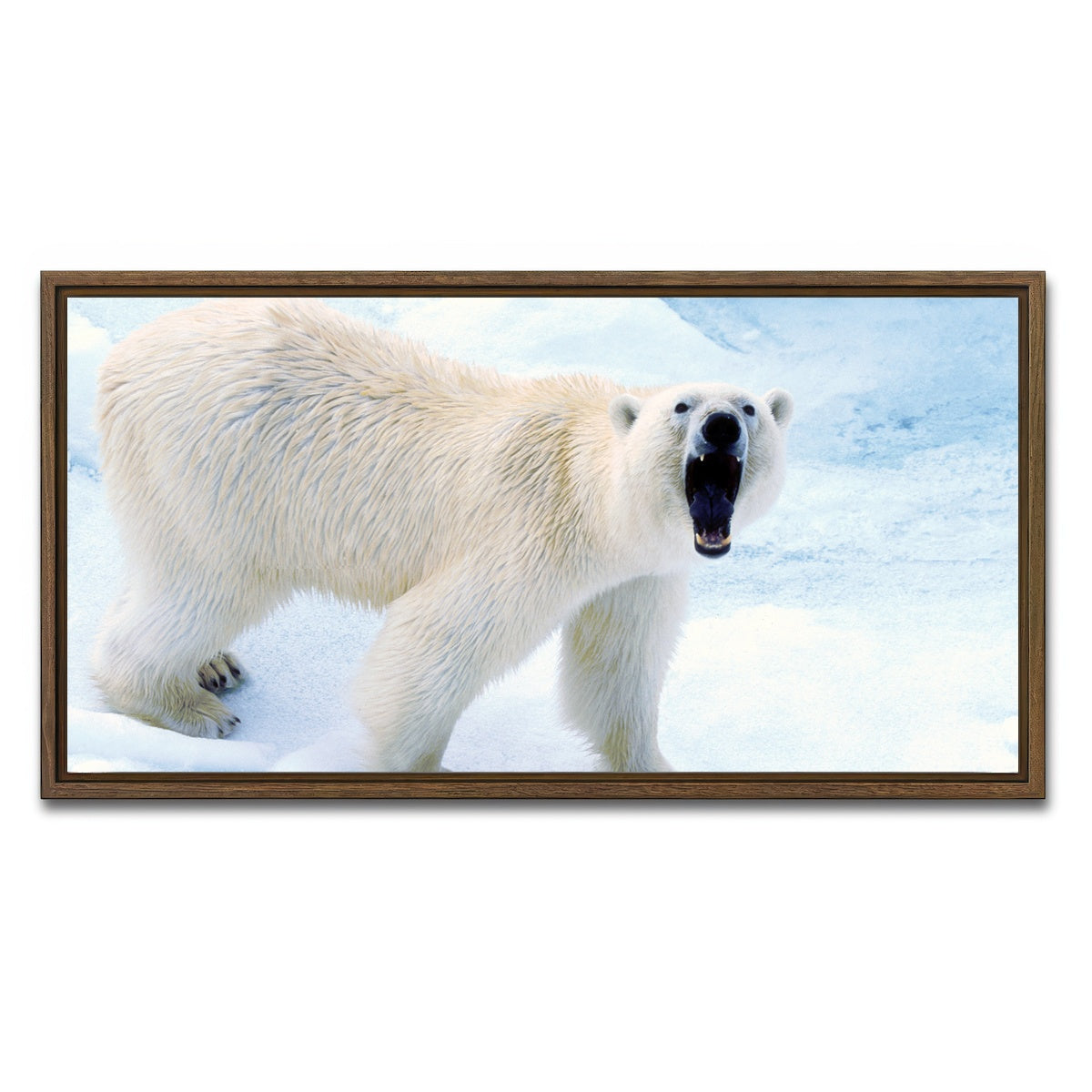 AUTO-MOCKUP WHITE | Polar Bear in Svalbard Norway | 1 Piece | Walnut Framed Canvas | group=2x1