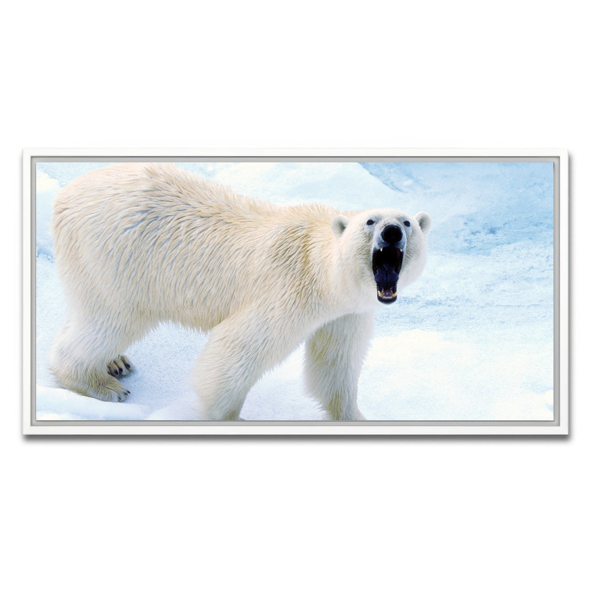 AUTO-MOCKUP WHITE | Polar Bear in Svalbard Norway | 1 Piece | White Framed Canvas | group=2x1
