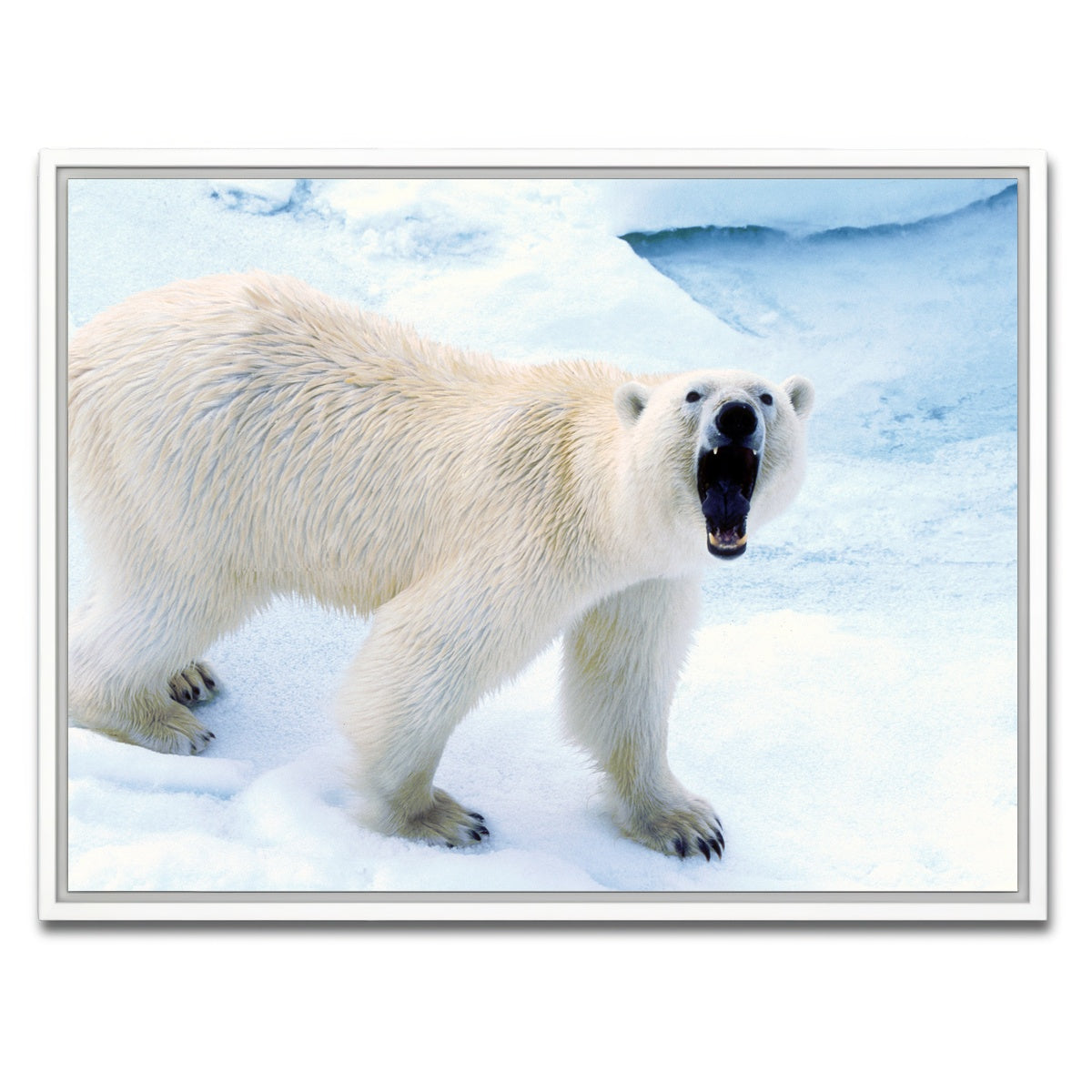 AUTO-MOCKUP WHITE | Polar Bear in Svalbard Norway | 1 Piece | White Framed Canvas | group=4x3