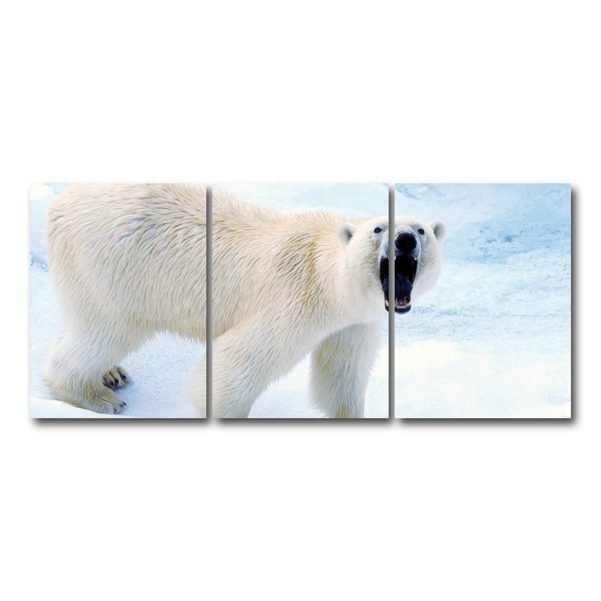 AUTO-MOCKUP WHITE | Polar Bear in Svalbard Norway | 3 Piece | Gallery Wrap Canvas | group=18x24