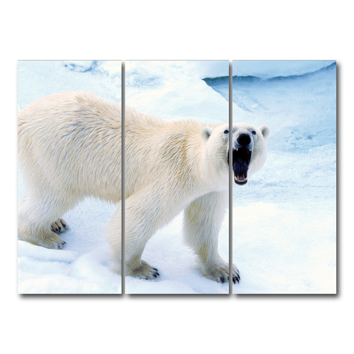 AUTO-MOCKUP WHITE | Polar Bear in Svalbard Norway | 3 Piece | Gallery Wrap Canvas | group=8x18