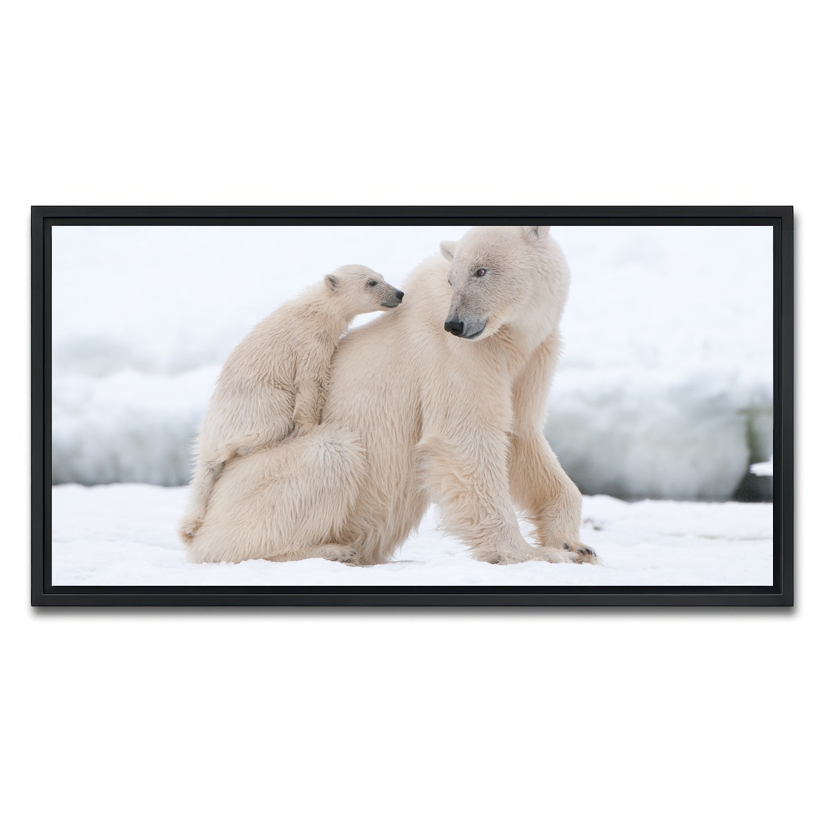 AUTO-MOCKUP WHITE | Polar bear with cub | 1 Piece | Black Framed Canvas | group=2x1