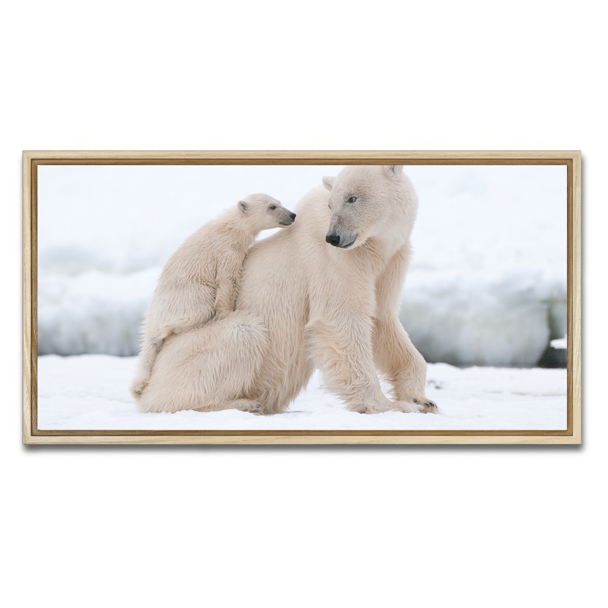 AUTO-MOCKUP WHITE | Polar bear with cub | 1 Piece | Natural Framed Canvas | group=2x1