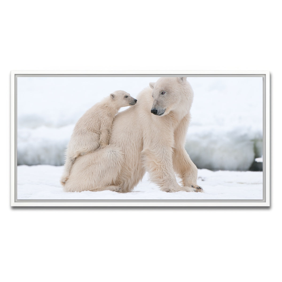 AUTO-MOCKUP WHITE | Polar bear with cub | 1 Piece | White Framed Canvas | group=2x1