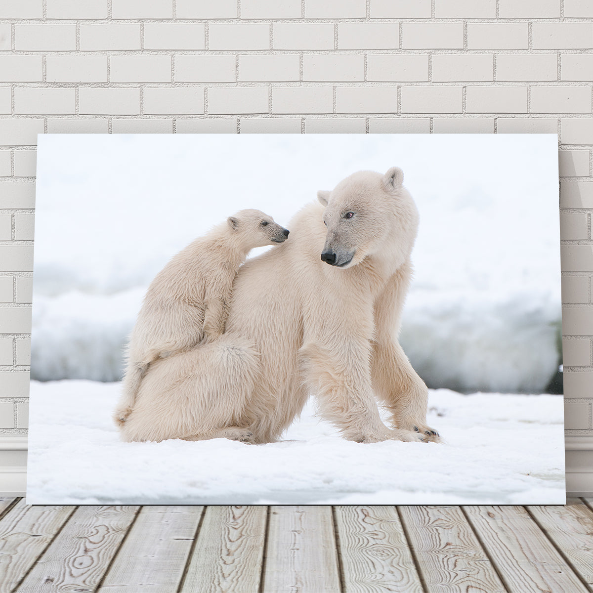 Polar Bear with Cub Wall Art