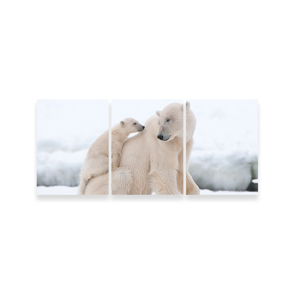 Polar Bear with Cub Wall Art