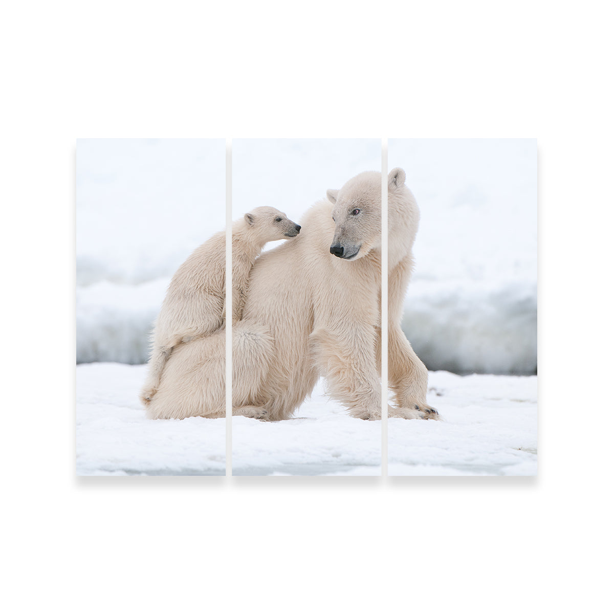 Polar Bear with Cub Wall Art
