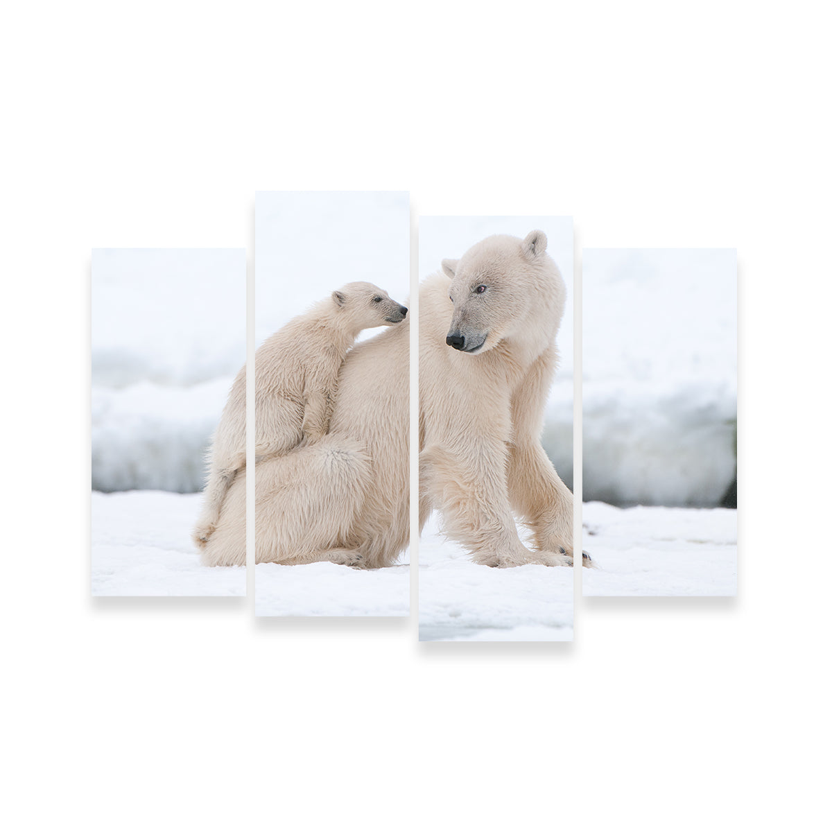 Polar Bear with Cub Wall Art
