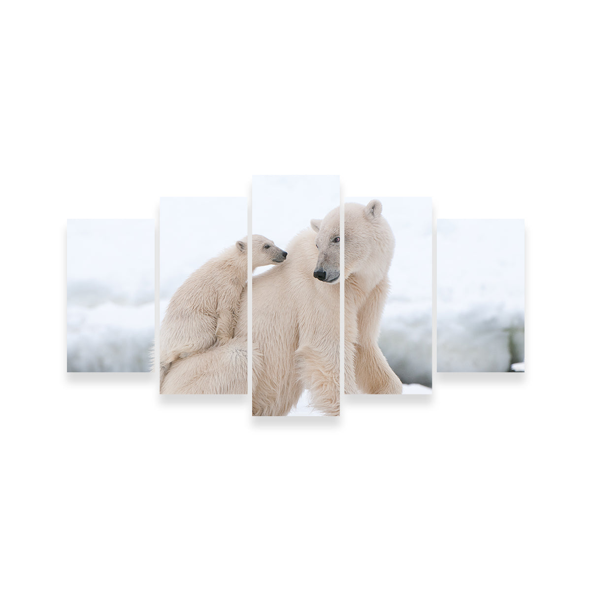 Polar Bear with Cub Wall Art