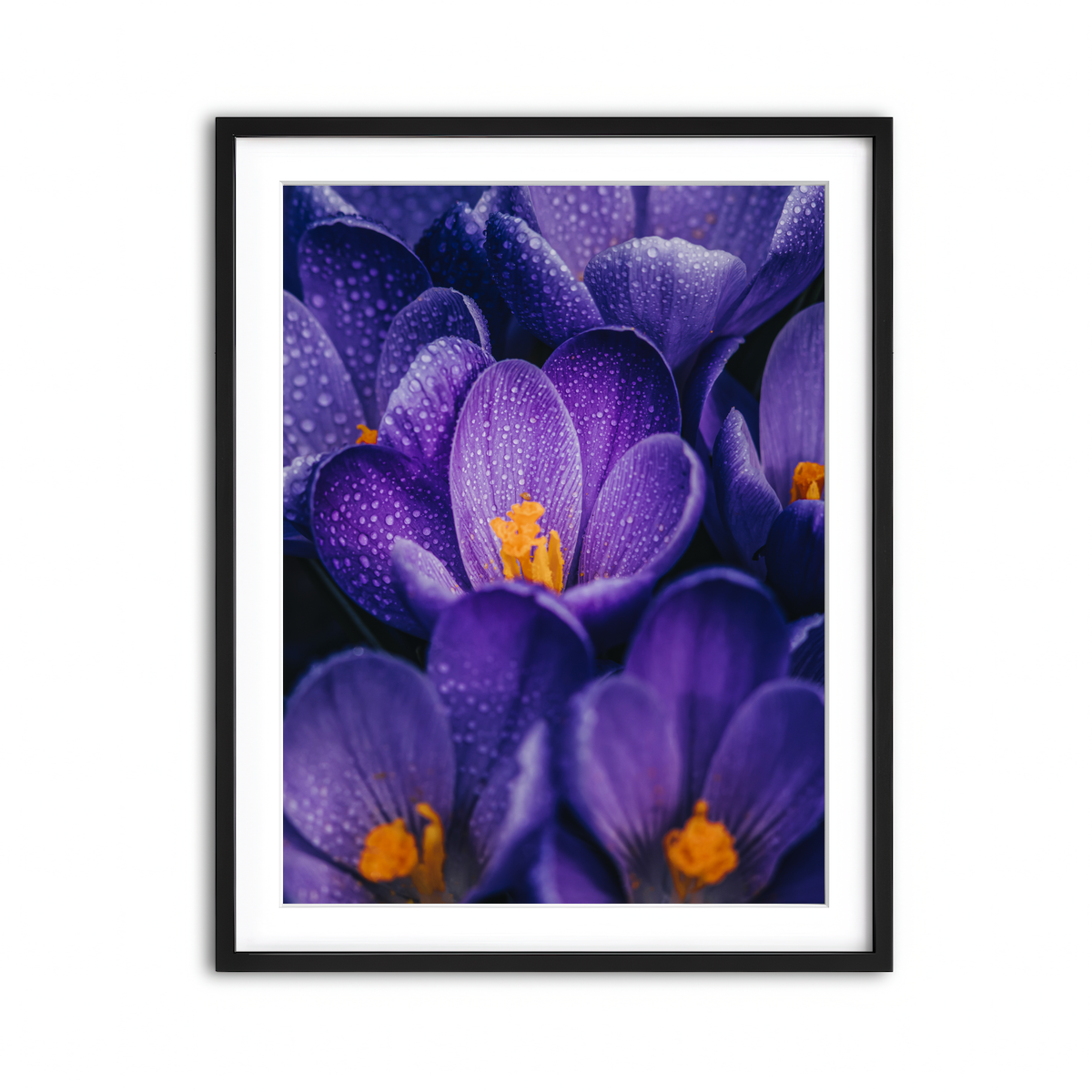 Framed Print 3x4 Black