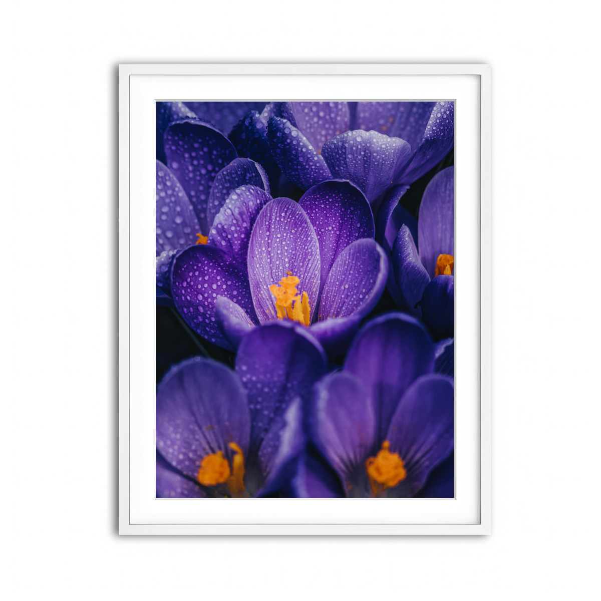 Framed Print 3x4 White