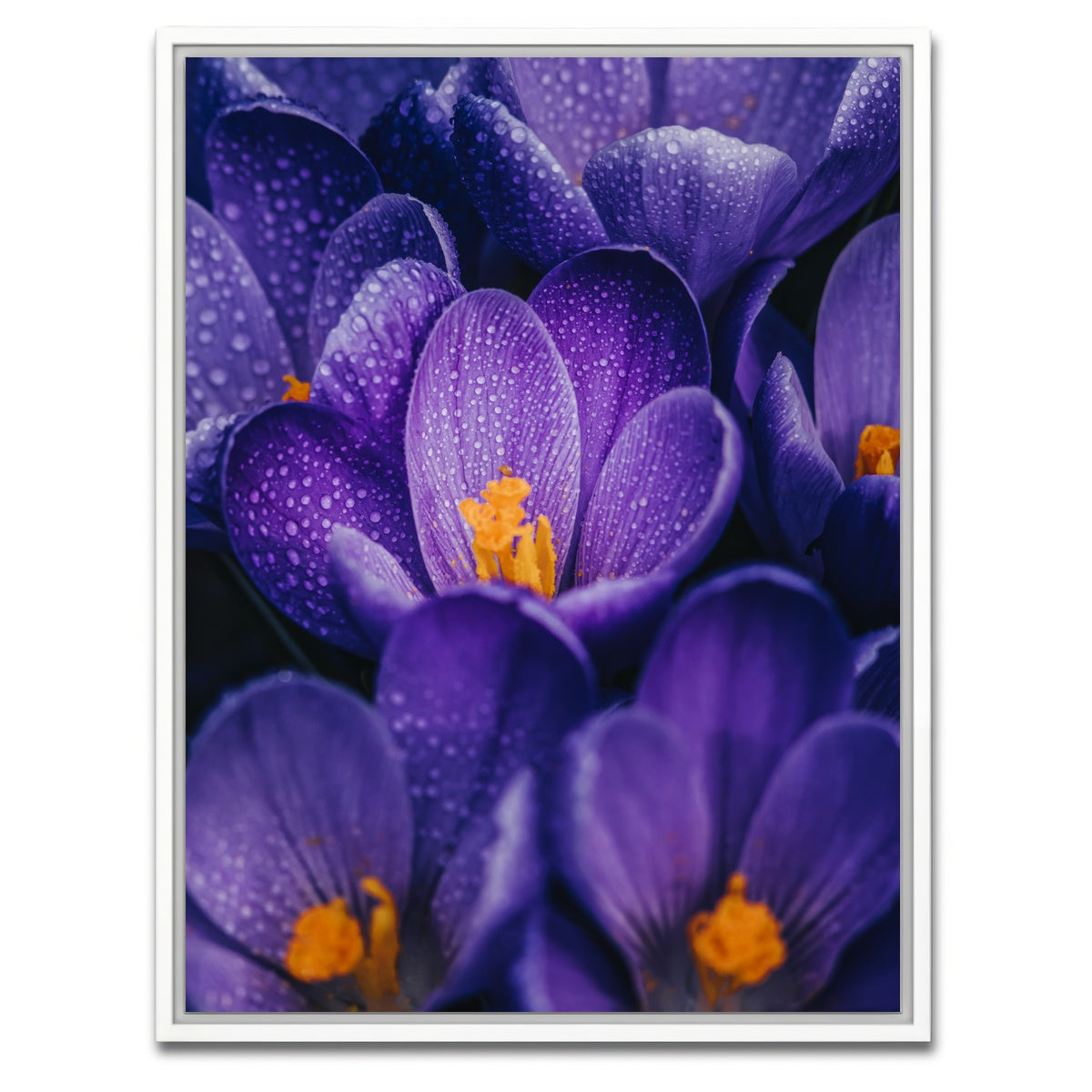 AUTO-MOCKUP WHITE | Pollen Purple | 1 Piece | White Framed Canvas | group=3x4
