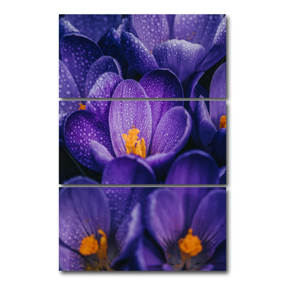 AUTO-MOCKUP WHITE | Pollen Purple | 3 Piece | Gallery Wrap Canvas | group=12x24_stacked