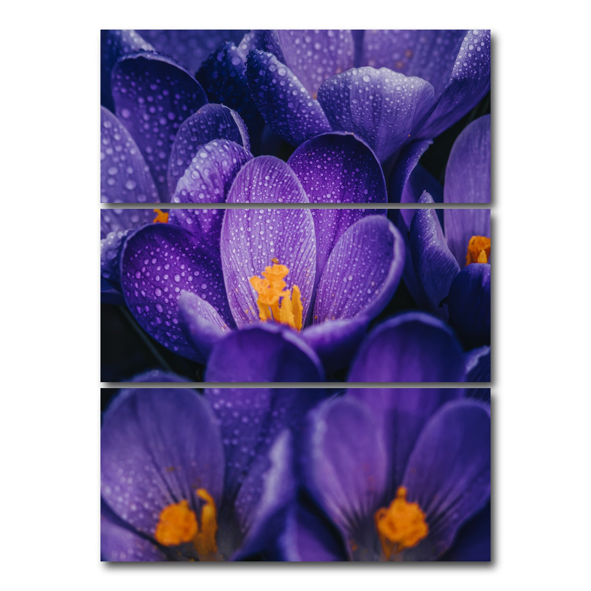 AUTO-MOCKUP WHITE | Pollen Purple | 3 Piece | Gallery Wrap Canvas | group=8x18_stacked