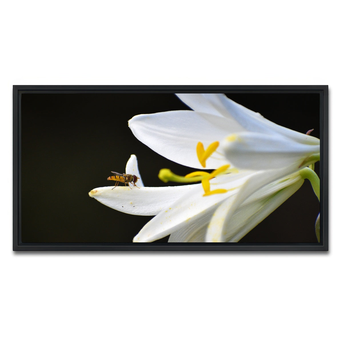 AUTO-MOCKUP WHITE | Pollen | 1 Piece | Black Framed Canvas | group=2x1