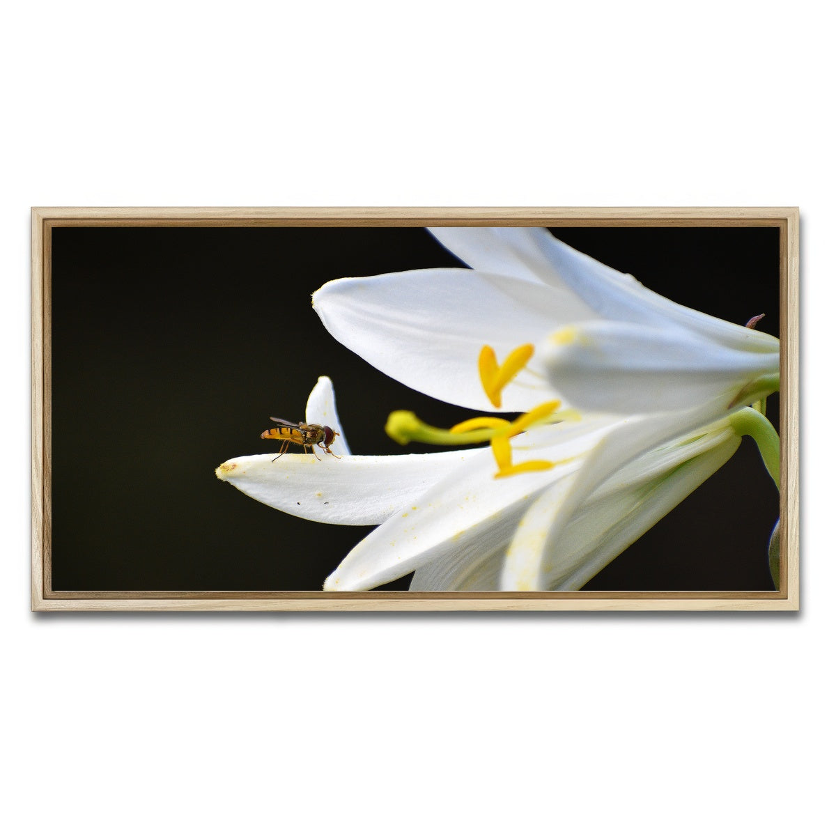 AUTO-MOCKUP WHITE | Pollen | 1 Piece | Natural Framed Canvas | group=2x1