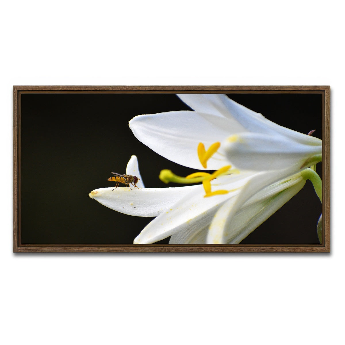 AUTO-MOCKUP WHITE | Pollen | 1 Piece | Walnut Framed Canvas | group=2x1