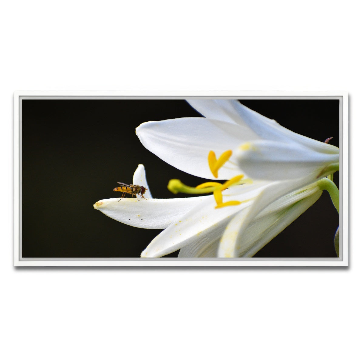 AUTO-MOCKUP WHITE | Pollen | 1 Piece | White Framed Canvas | group=2x1