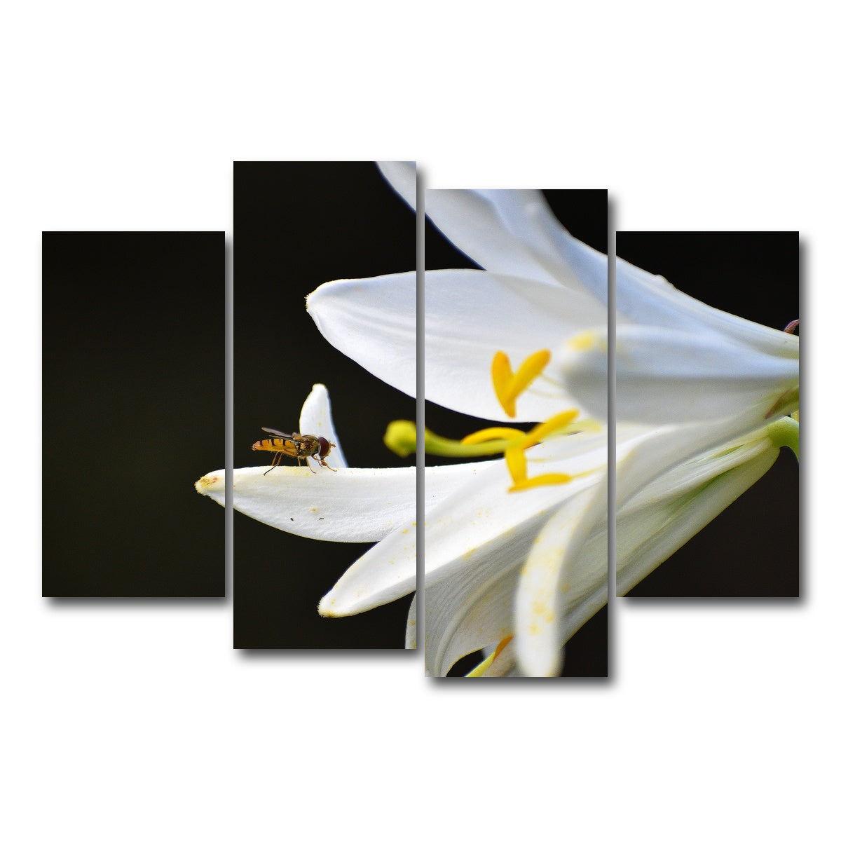 AUTO-MOCKUP WHITE | Pollen | 4 Piece | Gallery Wrap Canvas | group=4_short