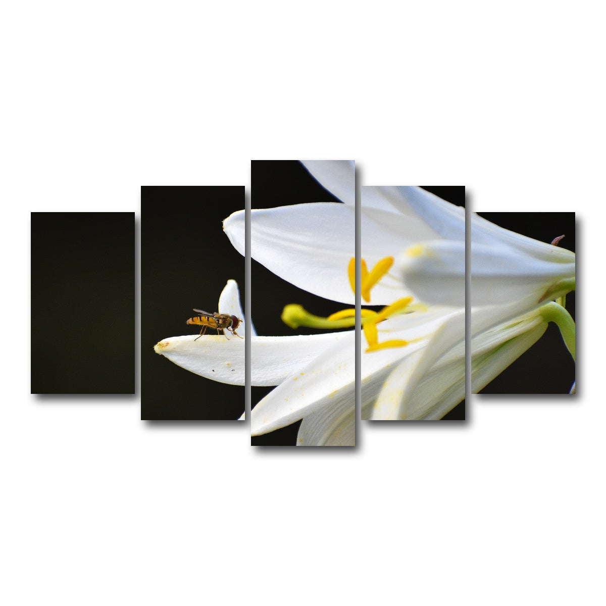 AUTO-MOCKUP WHITE | Pollen | 5 Piece | Gallery Wrap Canvas | group=5_normal