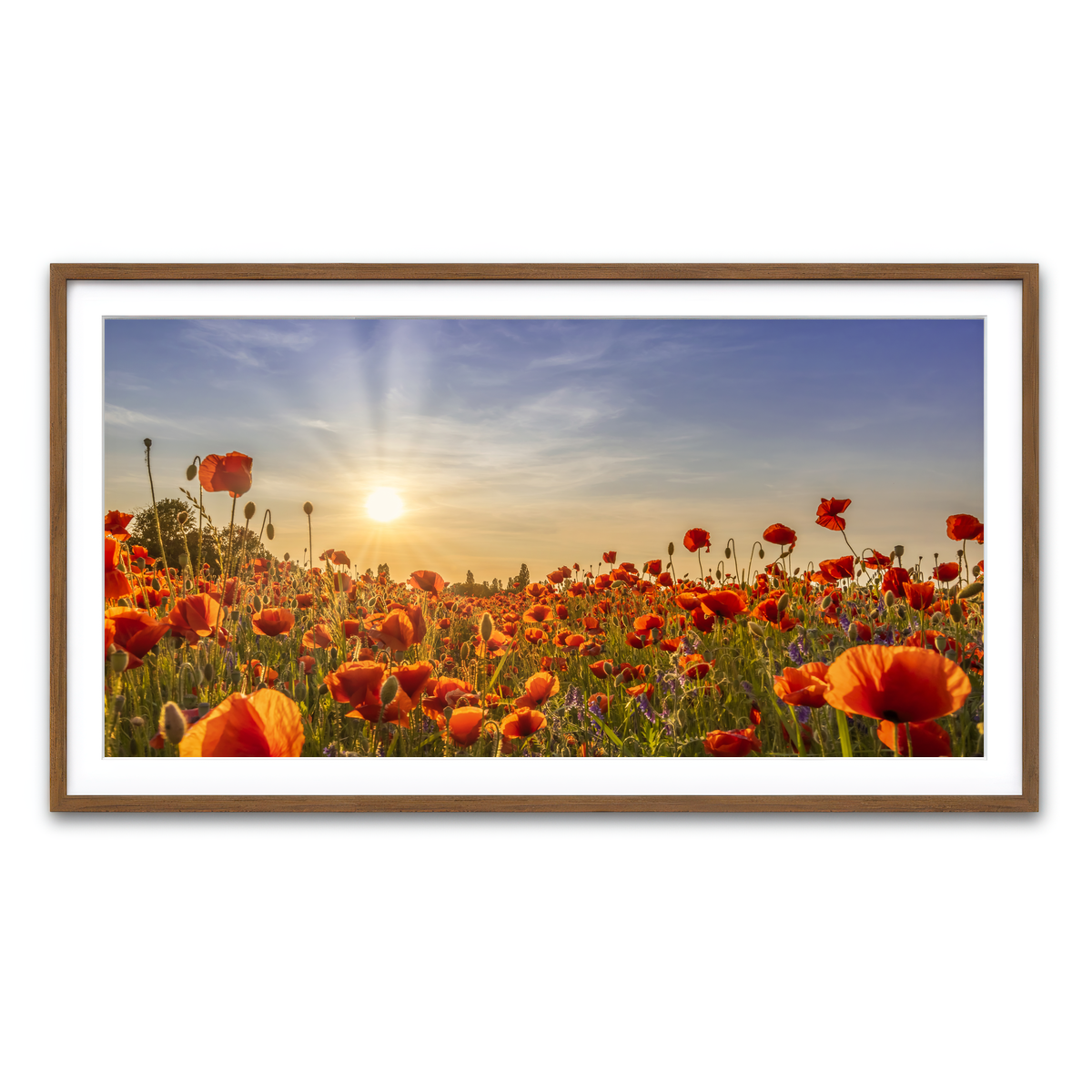 Framed Print 2x1 Walnut