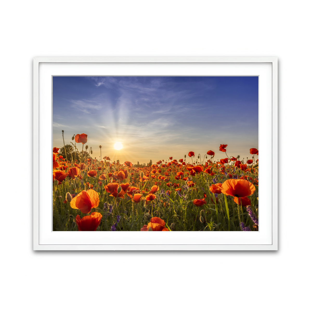 Framed Print 4x3 White