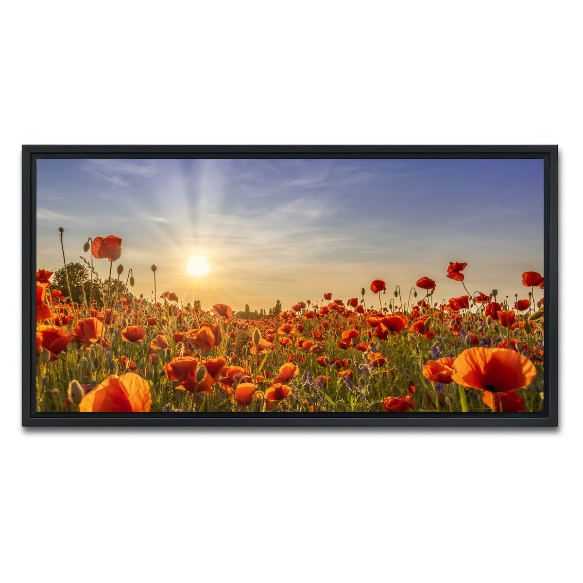 AUTO-MOCKUP WHITE | Poppies in the evening | 1 Piece | Black Framed Canvas | group=2x1