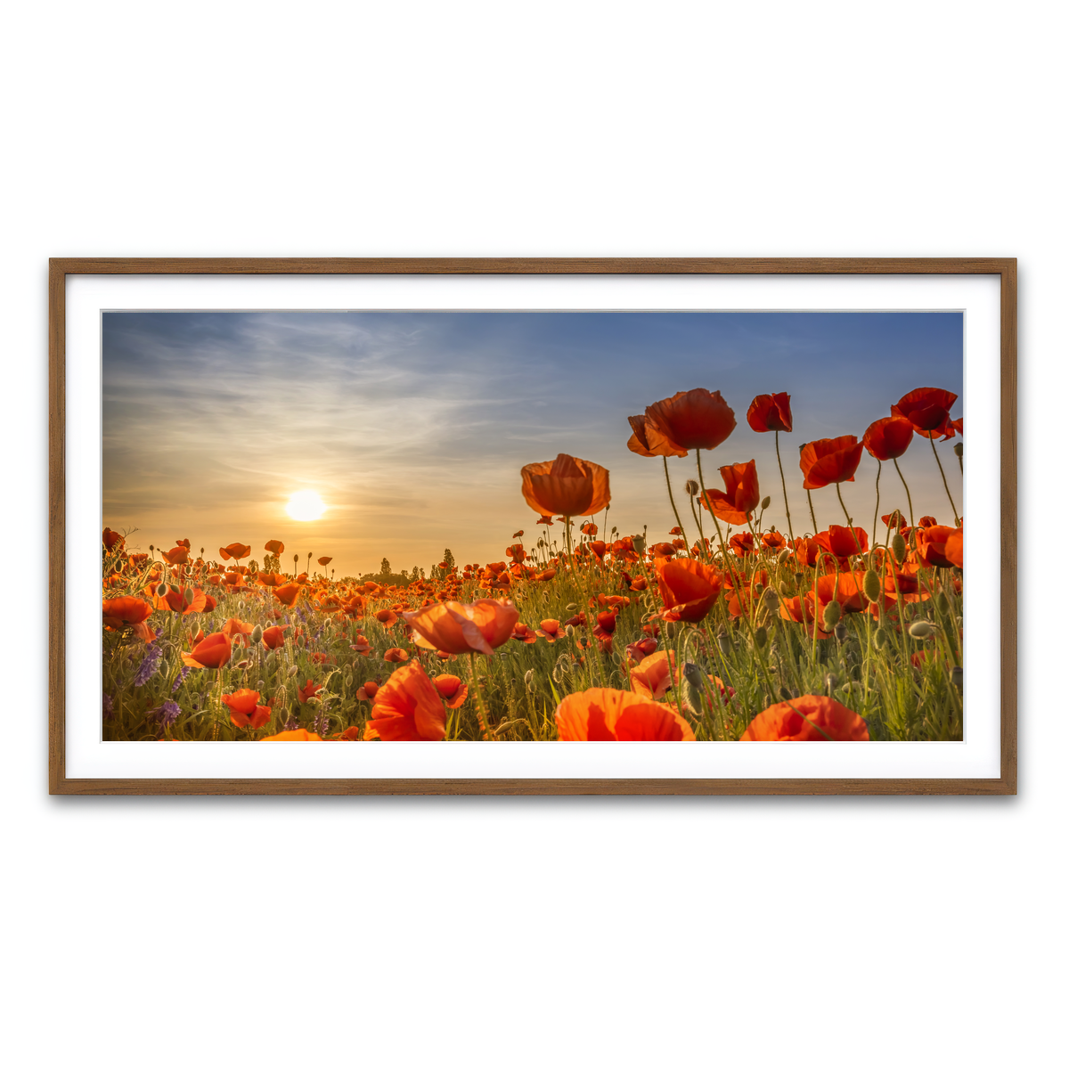 Framed Print 2x1 Walnut