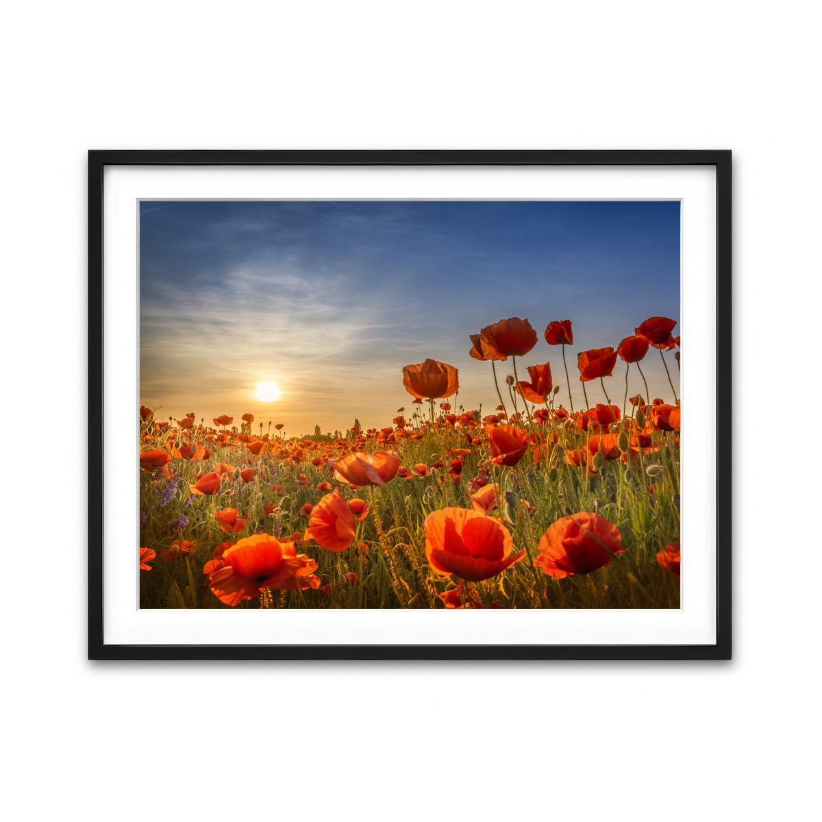 Framed Print 4x3 Black