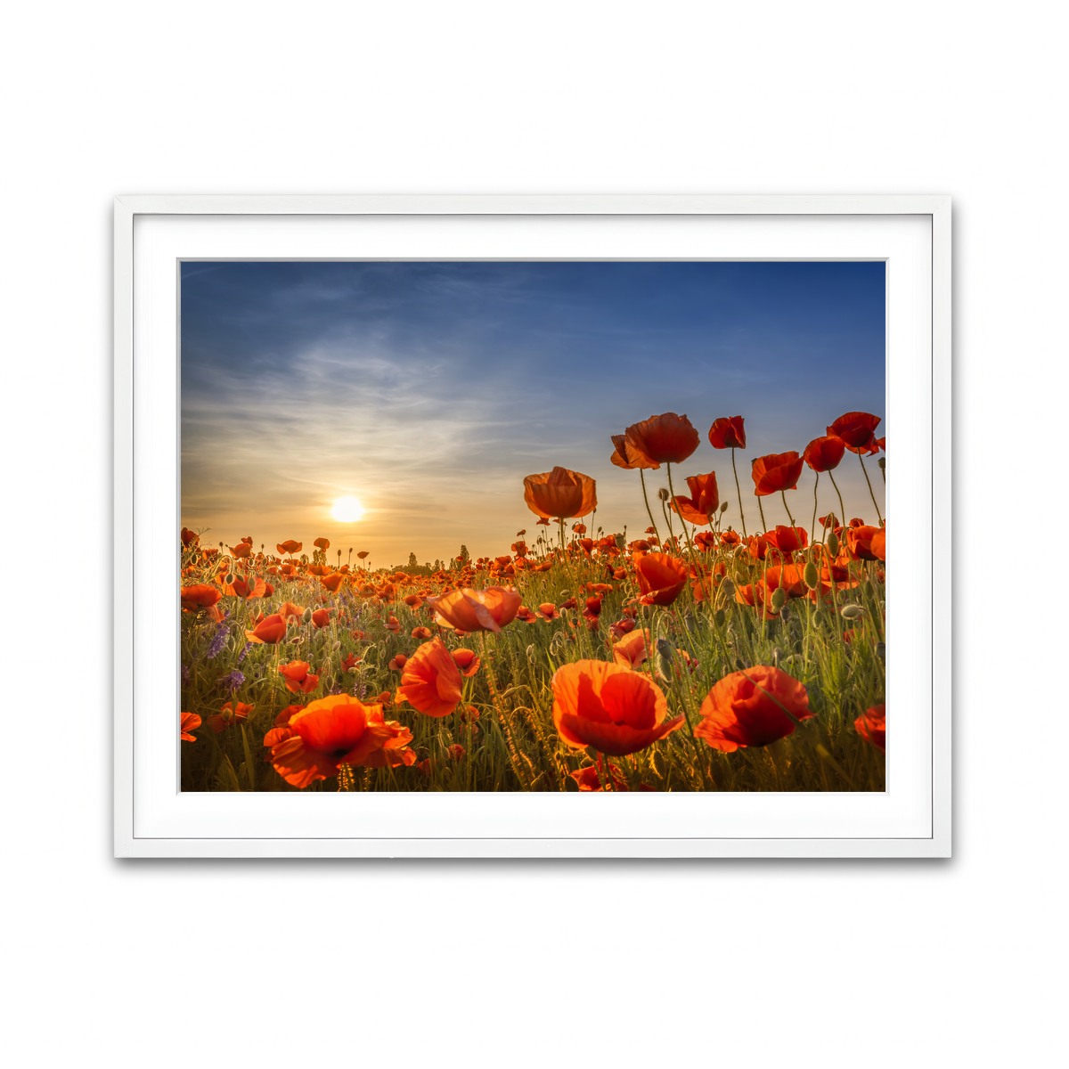Framed Print 4x3 White