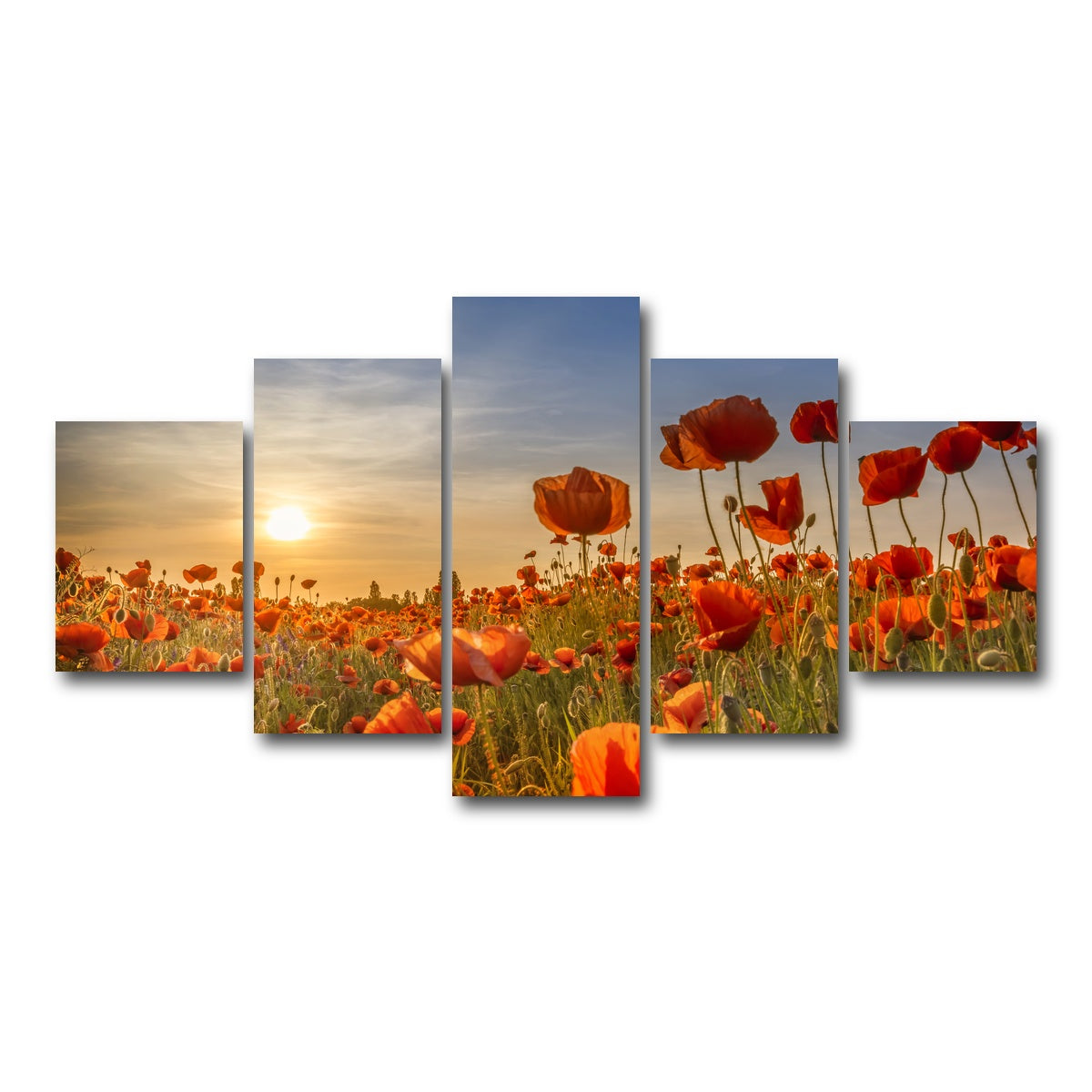 AUTO-MOCKUP WHITE | Poppies in the sunset | 5 Piece | Gallery Wrap Canvas | group=5_short
